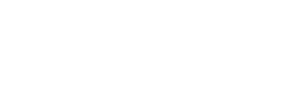 Artemis Steuerberatung